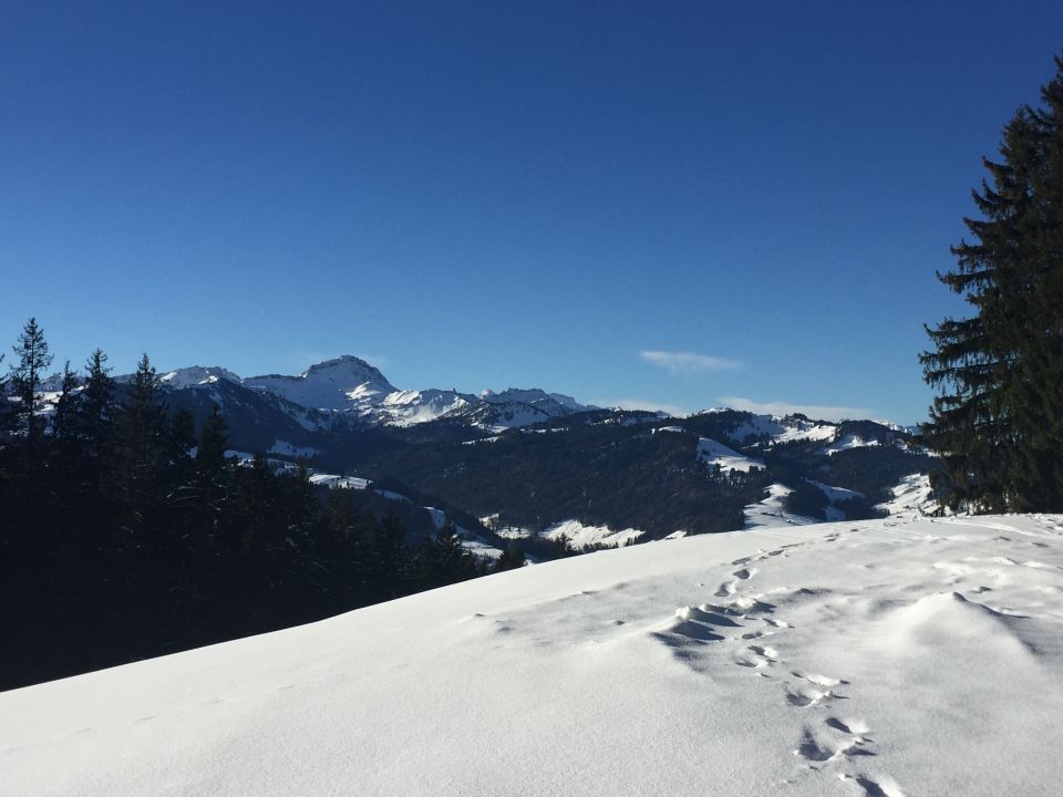 files/content/bilder/nordisch/news/Loppet_2018_10.JPG